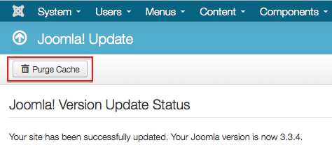 Joomla 3.3.4 Update Step 3